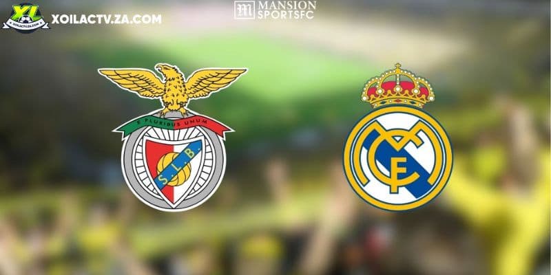 Arsenal đối mặt khủng hoảng chấn thương tồi tệ nhất tháng 3/2026: Noni Madueke, Saka và Rice vắng mặt
