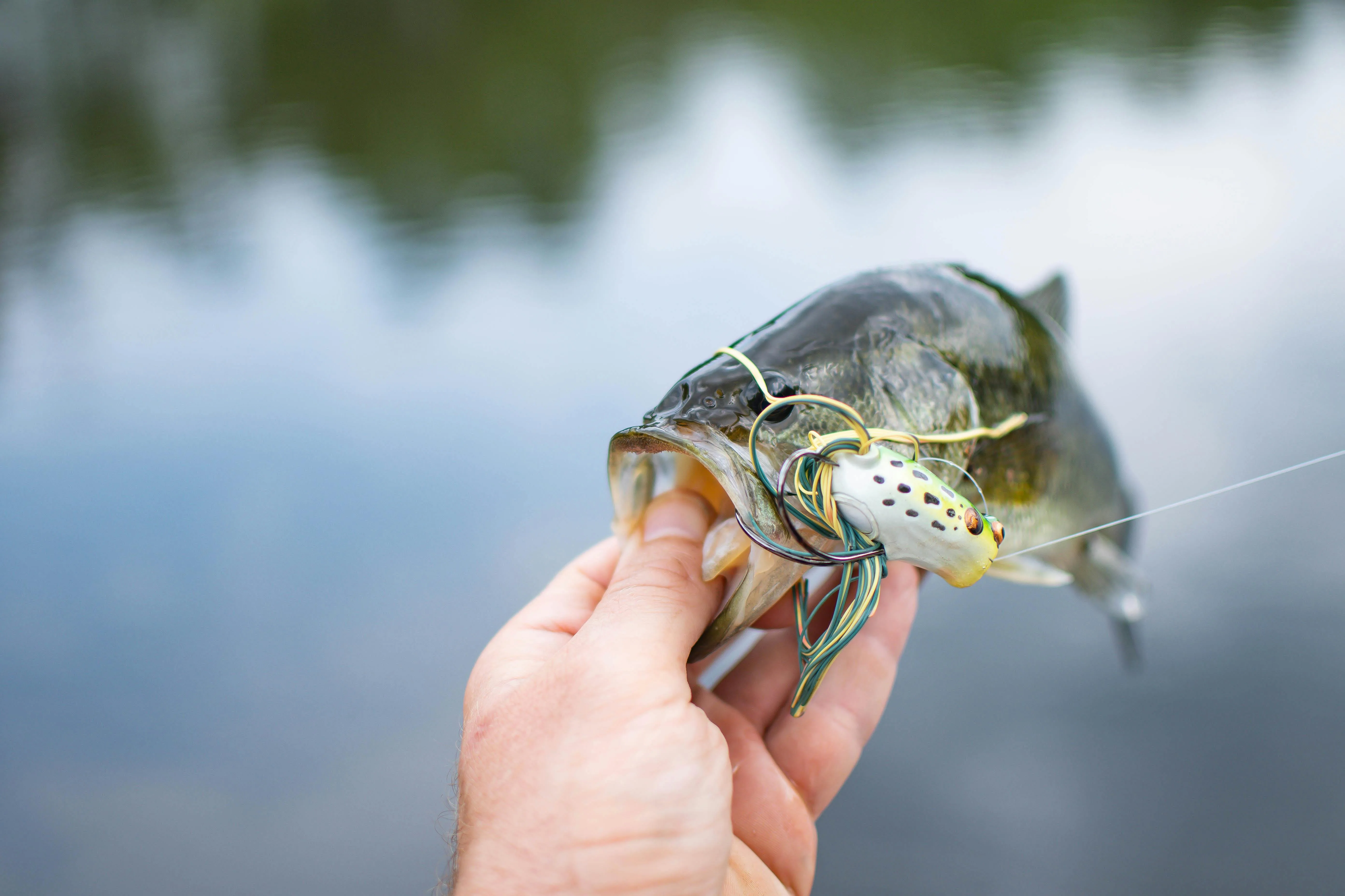 Bigger Bass Bonanza — MSZN logs feature-trigger distribution across 12,800 spins, p50 at 285 spins