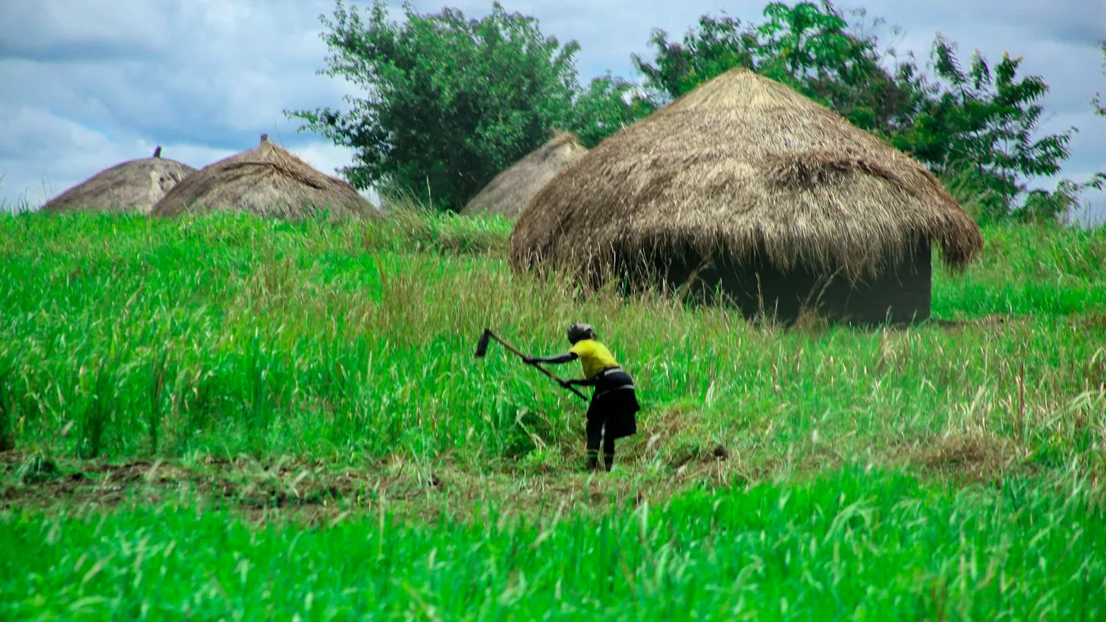 IWIN link mới nhất 2026-06-26, đăng ký, nạp rút và rút tiền MoMo tức thì · tin kèo mới — checklist nhanh trước khi vào